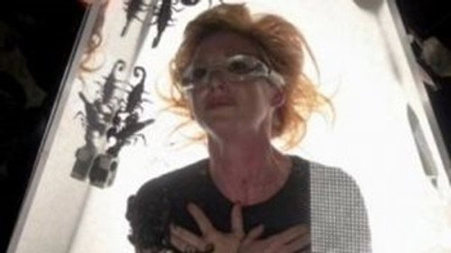 MythBusters - S10E17: Fright Night