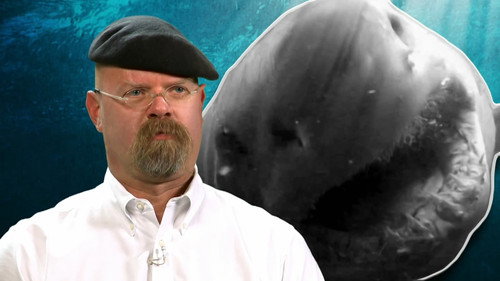 MythBusters - S10E13: Jawsome Shark Special