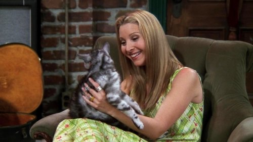 Friends - S4E2: The One with the Cat