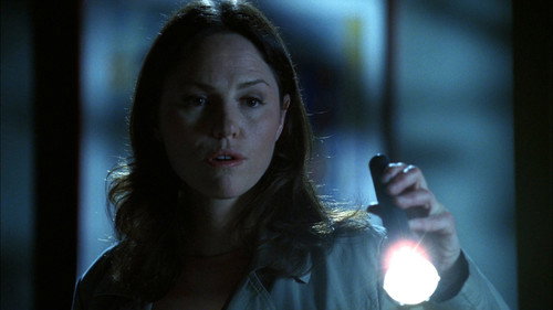 CSI: Crime Scene Investigation - S7E18: Empty Eyes