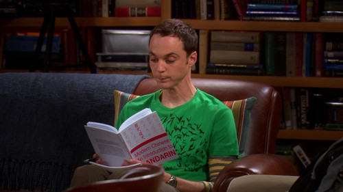 The Big Bang Theory - S1E17: The Tangerine Factor