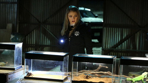 CSI: Crime Scene Investigation - S15E17: Under My Skin