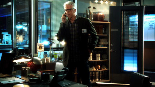 CSI: Crime Scene Investigation - S13E19: Backfire