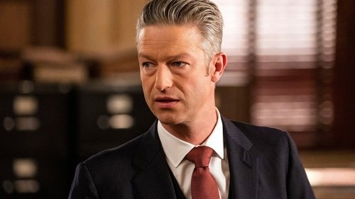 Law & Order: Special Victims Unit - S24E18: Bubble Wrap