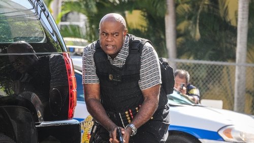 Hawaii Five-0 - S6E17: Waiwai (Assets)