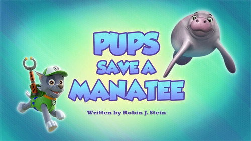 PAW Patrol - S6E21: Pups Save a Manatee