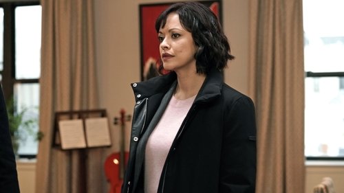 Blue Bloods - S9E16: Past Tense