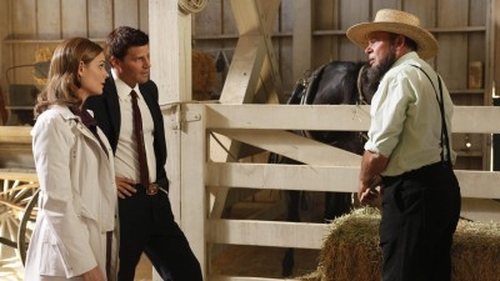 Bones - S5E3: The Plain in the Prodigy