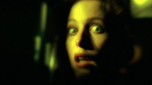 The X-Files - S3E18: Teso Dos Bichos