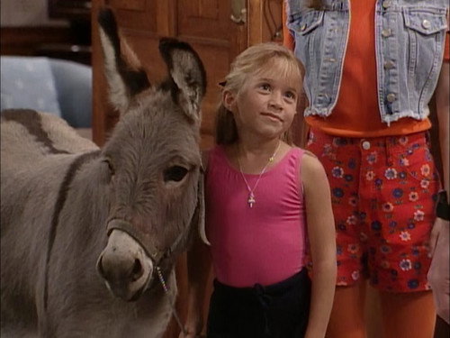 Full House - S8E6: You Pet It, You Bought It