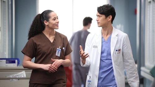 Grey's Anatomy - S19E16: Gunpowder and Lead