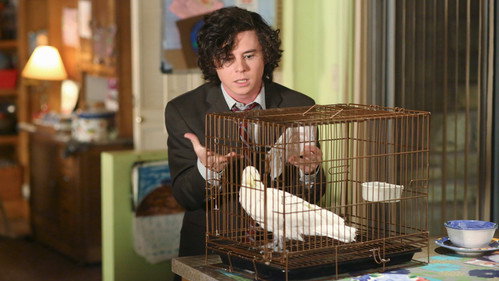 The Middle - S7E12: Birds of a Feather