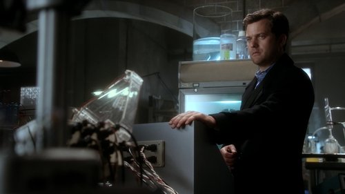 Fringe - S4E22: Brave New World (2)
