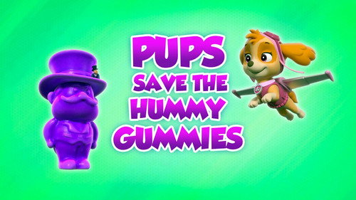 PAW Patrol - S8E41: Pups Save the Hummy Gummies