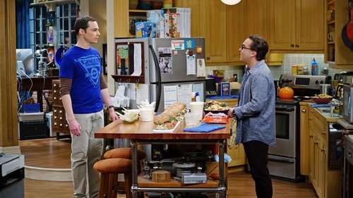 The Big Bang Theory - S9E21: The Viewing Party Combustion