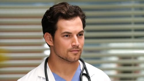 Grey's Anatomy - S14E3: Go Big or Go Home