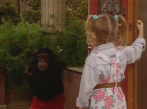 Full House - S5E18: Too Much Monkey Business