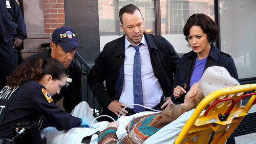 Blue Bloods - S10E7: Higher Standards