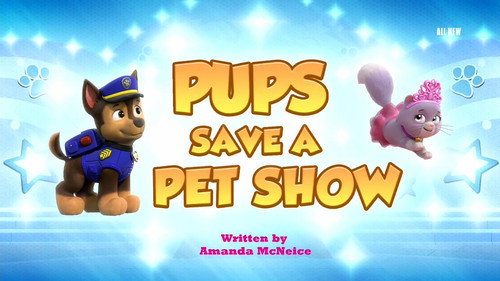 PAW Patrol - S11E8: Pups Save a Pet Show