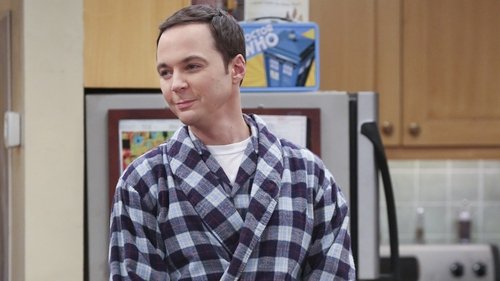 The Big Bang Theory - S9E13: The Empathy Optimization