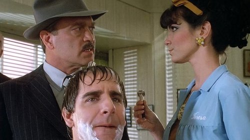 Quantum Leap - S1E5: Double Identity