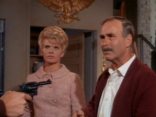 Ironside - S2E9: Reprise