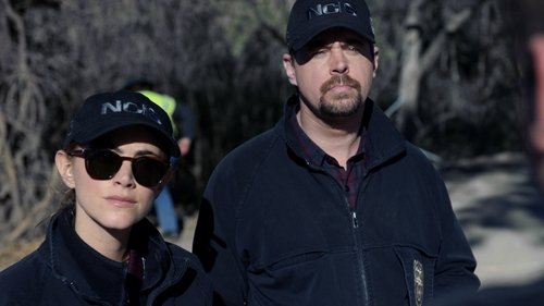NCIS - S15E13: Family Ties