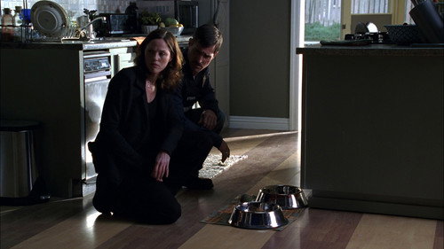CSI: Crime Scene Investigation - S6E9: Dog Eat Dog