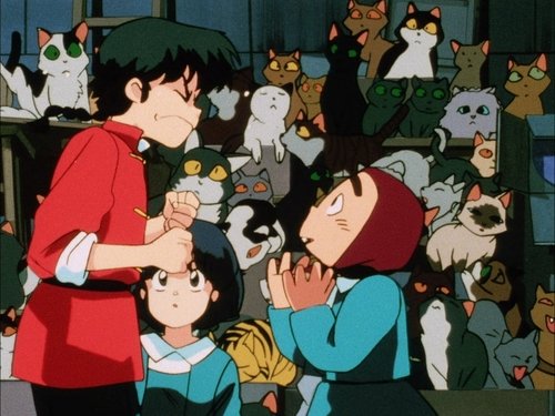 Ranma ½ - S1E20: You Really Do Hate Cats!