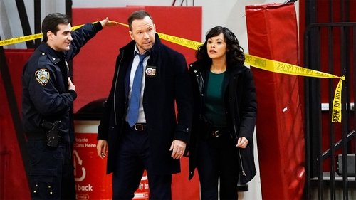 Blue Bloods - S9E12: Milestones