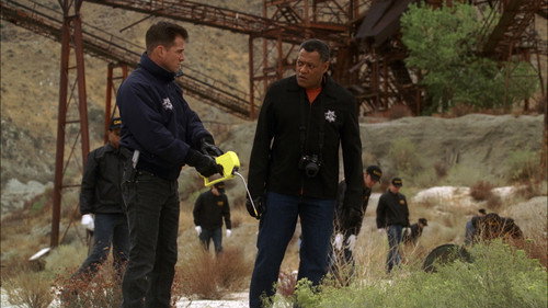 CSI: Crime Scene Investigation - S10E7: The Lost Girls (III)