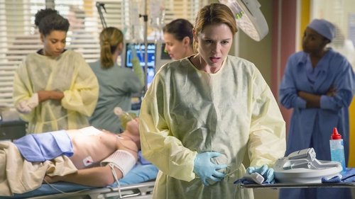Grey's Anatomy - S11E9: Where Do We Go from Here?