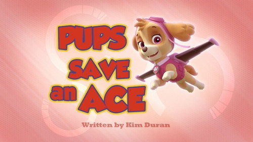PAW Patrol - S2E12: Pups Save an Ace