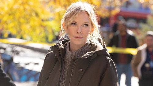 Law & Order - S25E9: Snowflakes (I)