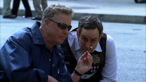CSI: Crime Scene Investigation - S7E19: Big Shots