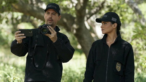 NCIS - S19E21: Birds of a Feather