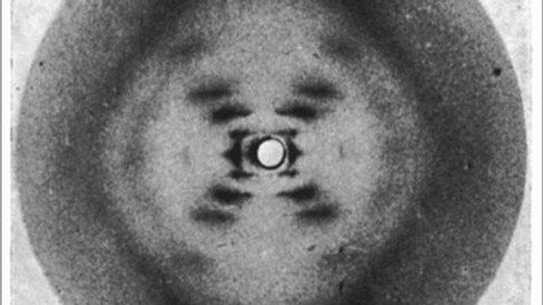 NOVA - S30E16: Secret of Photo 51