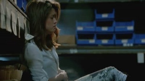 Hawaii Five-0 - S3E23: He Welo ‘Oihana (Family Business)