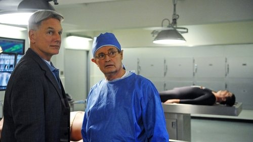 NCIS - S9E15: Secrets