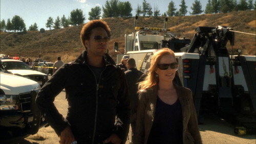 CSI: Crime Scene Investigation - S7E9: Living Legend