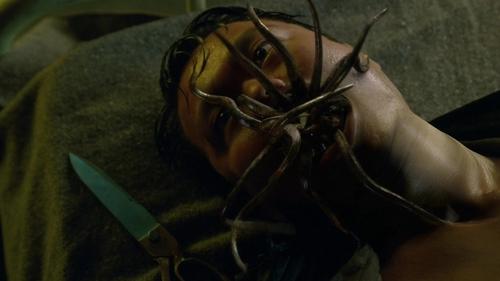 Fringe - S2E9: Snakehead