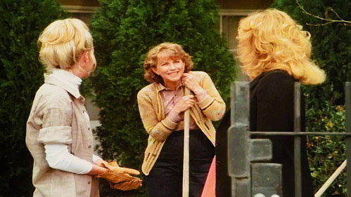 Knots Landing - S3E18: Expose