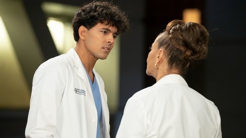 Grey's Anatomy - S21E15: Bust Your Windows