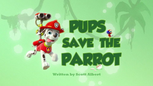PAW Patrol - S2E25: Pups Save the Parrot