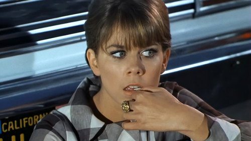 Adam-12 - S1E16: Log 062: Grand Theft Horse?
