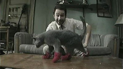 It's Always Sunny in Philadelphia - S5E8: Paddy's Pub: Home of the Original Kitten Mittens