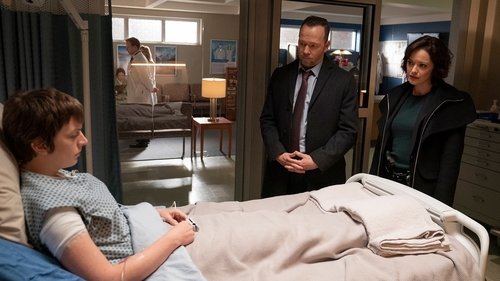 Blue Bloods - S10E11: Careful What You Wish For