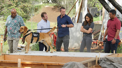 Hawaii Five-0 - S8E16: O na hoku o ka lani ka i ʻike ia Paeʻ (Only the Stars of Heaven Know Where Pae Is)