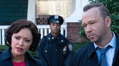 Blue Bloods - S10E6: Glass Houses