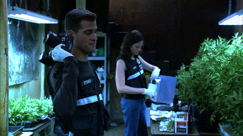 CSI: Crime Scene Investigation - S6E5: Gum Drops